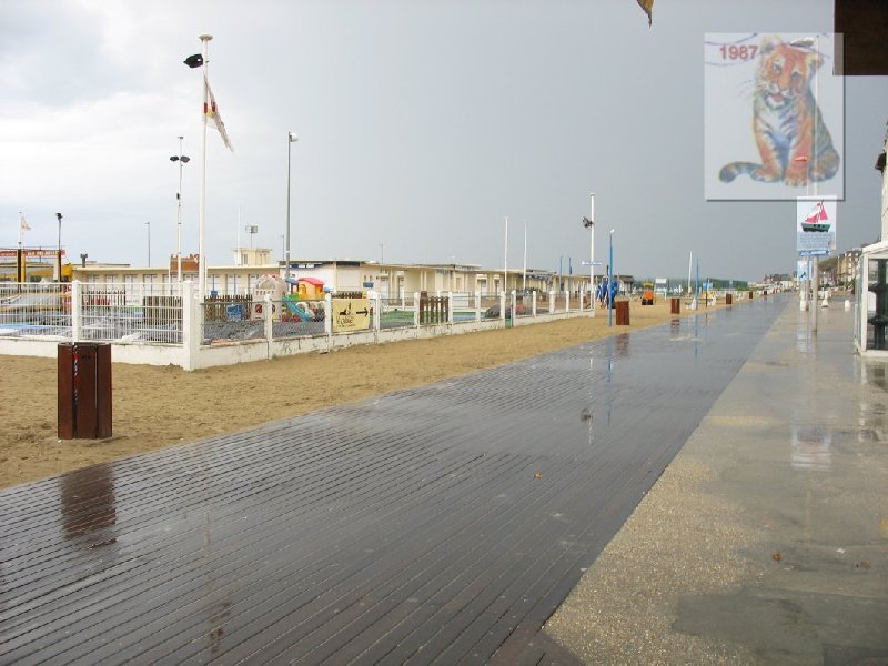 photo34.jpg