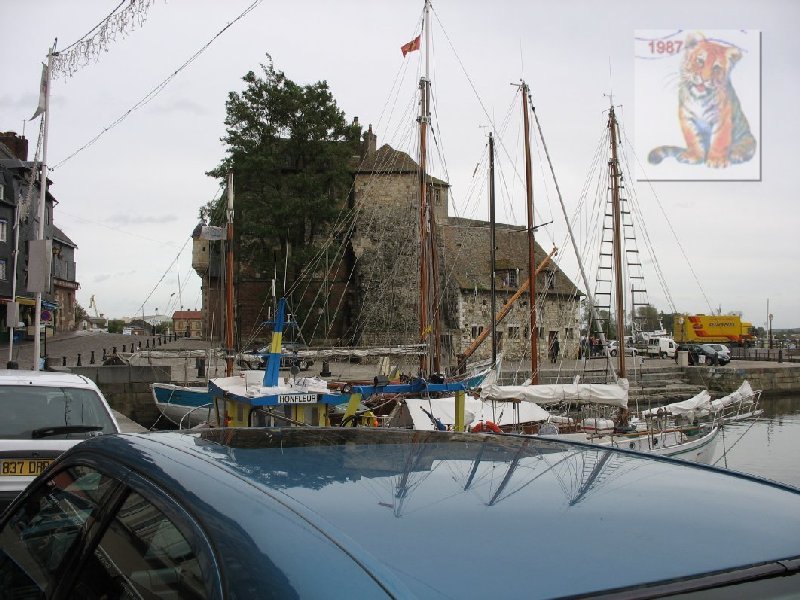 photo6.jpg