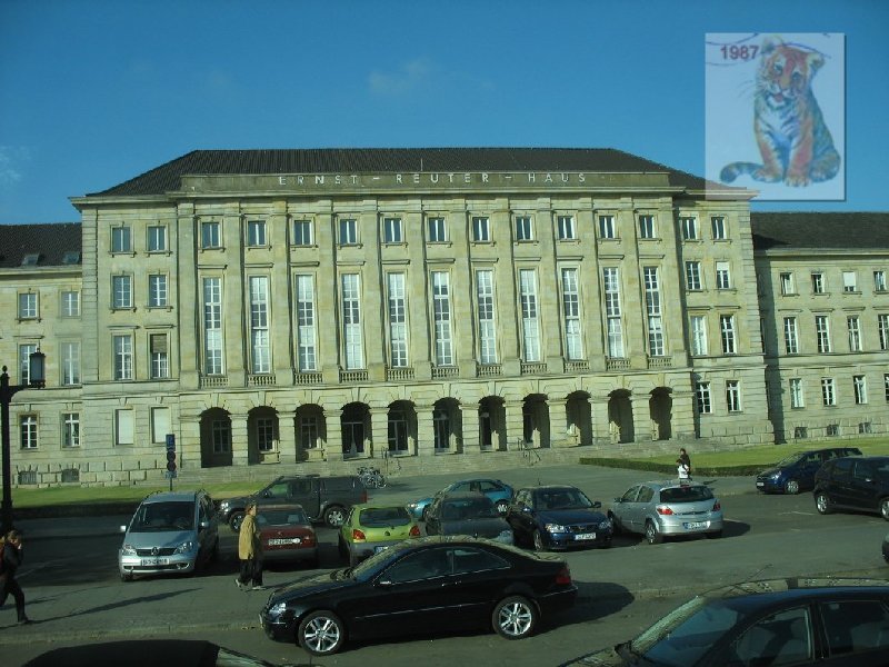 photo81.jpg