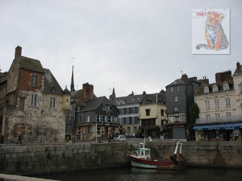 photo9.jpg