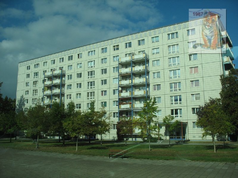 photo90.jpg