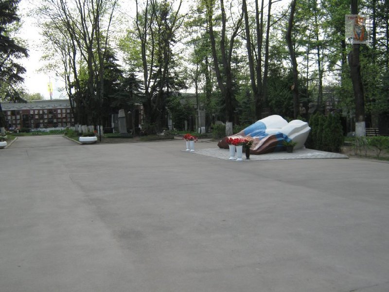photo8.jpg